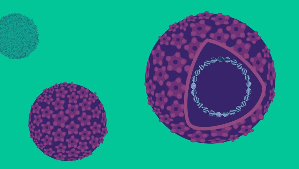 Papilloma vírus anális tumor - A HP-vírussal összefüggő rosszindulatú daganatok trendjei