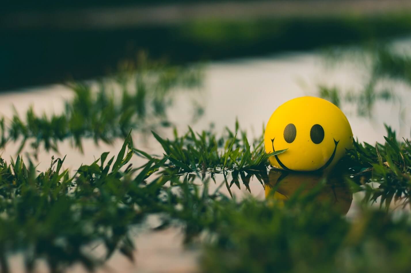 A yellow "smiley face" ball floats in water and is surrounded by greenery.
